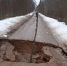 Два провала образовались на дорогах Плюсского района - Pln-Pskov.Ru