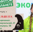 Как поучаствовать в акции «Сдай макулатуру и пластиковые бутылки - накорми бездомных животных!» ВИДЕО - Pln-Pskov.Ru