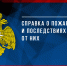 Справка о пожарах и             последствиях от них за 3 месяца 2023 года - МЧС Псковской области