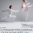 Псковичи могут сходить на балет со скидкой 20% - InformPskov.Ru