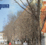 Место встречи: улица Гагарина - Pln-Pskov.Ru