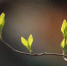 Pixabay - FlashNord.Com
