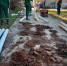 Один из районов Пскова оставят без горячей воды из-за ремонта сетей - Pln-Pskov.Ru