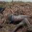 Фото ПАИ - InformPskov.Ru