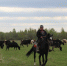 Фото Софии Васильевой - InformPskov.Ru