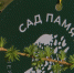 На улице Юбилейной в Пскове посадили Сад памяти - ГТРК Псков