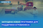 Запущена новая программа для поддержки агробизнеса