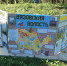Фото здесь и далее: газета «Новосокольнический край» - InformPskov.Ru