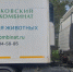 200 тысяч доз вакцины против бешенства разложат в лесах Псковской области - InformPskov.Ru