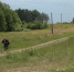 Троих братьев из Островского района разыскивают друзья детства - Pln-Pskov.Ru