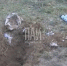 Фото здесь и далее: ФСБ - InformPskov.Ru