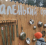 Интерактивные площадки работают у ветряной мельницы в Михайловском - Pln-Pskov.Ru
