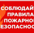 Фото: «Экопром» - InformPskov.Ru
