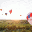 XXVII Международная встреча воздухоплавателей. ФОТОРЕПОРТАЖ - Pln-Pskov.Ru