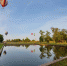 Фото: Luki-News - InformPskov.Ru