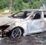 Автомобиль горел в Струго-Красненском районе - InformPskov.Ru