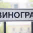 ПЛН-ТВ: Эногастрономическая ярмарка «Виноград» в Пскове - Pln-Pskov.Ru