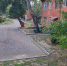 «Управляйки» Великих Лук отчитались о работе за 20 июня - Pln-Pskov.Ru