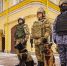 Генерал-лейтенант рассказал о подвиге на СВО служебных собак из Пскова - InformPskov.Ru