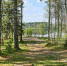 Фото: ПАИ - InformPskov.Ru