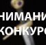 Бесплатные пригласительные билеты на фестиваль «Довмонт Псковский» разыгрывает музей - Pln-Pskov.Ru