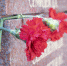 Pixabay - FlashNord.Com
