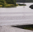 Фото: ПАИ - InformPskov.Ru