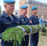 Памятный митинг, посвященный Дню партизан и подпольщиков - InformPskov.Ru