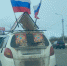 Гастролировавший в Пскове цирк признали нарушителем закона о рекламе - Pln-Pskov.Ru