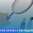 Треть жалоб бизнеса на надзорные органы удовлетворена - Бизнес-инкубатор