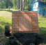 Фото: газета «Дновец» - InformPskov.Ru