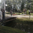 Фото ПАИ - InformPskov.Ru