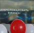 Псков и Минск соединил авиамаршрут                       - Комитет по транспорту и связи