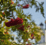 Фото ПАИ - InformPskov.Ru