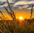 Pixabay - FlashNord.Com