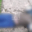 Фото: ПАИ - InformPskov.Ru