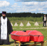 Фото здесь и далее: Татьяна Герасимова/Островские вести - InformPskov.Ru