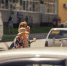 Фото: ПАИ - InformPskov.Ru