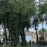 Светофор рухнул на улице Кузнецкой в Пскове. ФОТО - Pln-Pskov.Ru
