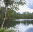 Фото: ПАИ - InformPskov.Ru