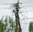 Некоторые великолучане останутся без электричества 22 августа - Pln-Pskov.Ru