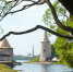 Фото: ПАИ - InformPskov.Ru