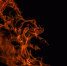 pixabay - FlashNord.Com