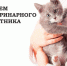 Поздравляем с Днем ветеринарного работника!                      - Комитет по ветеринарии