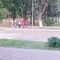 Фото: скриншот из видео в соцсетях - InformPskov.Ru