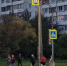 Фотофакт: Пешеходный светофор у торгового центра в Пскове работает некорректно - Pln-Pskov.Ru