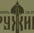 В Псковской области дружинники пресекли попытку незаконного использования ряда БПЛА - Псковская правда