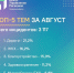 Более 3 тысяч обращений зафиксировала система «Инцидент менеджмент» в Псковской области за август - Pln-Pskov.Ru