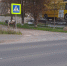 Быка заметили на улице Леона Поземского в Пскове. ФОТО - Pln-Pskov.Ru