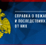 Справка  о пожарах и последствиях от них  за 8 месяцев 2023 года - МЧС Псковской области